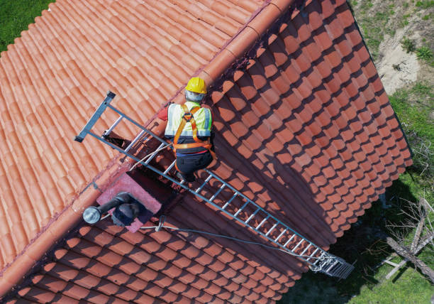 Best Roof Coating and Sealing  in Las Maravillas, NM